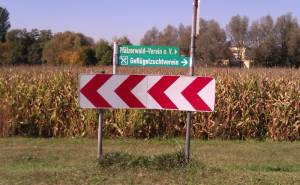zumzeki.jpg