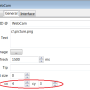 text-webcam-size-en.png